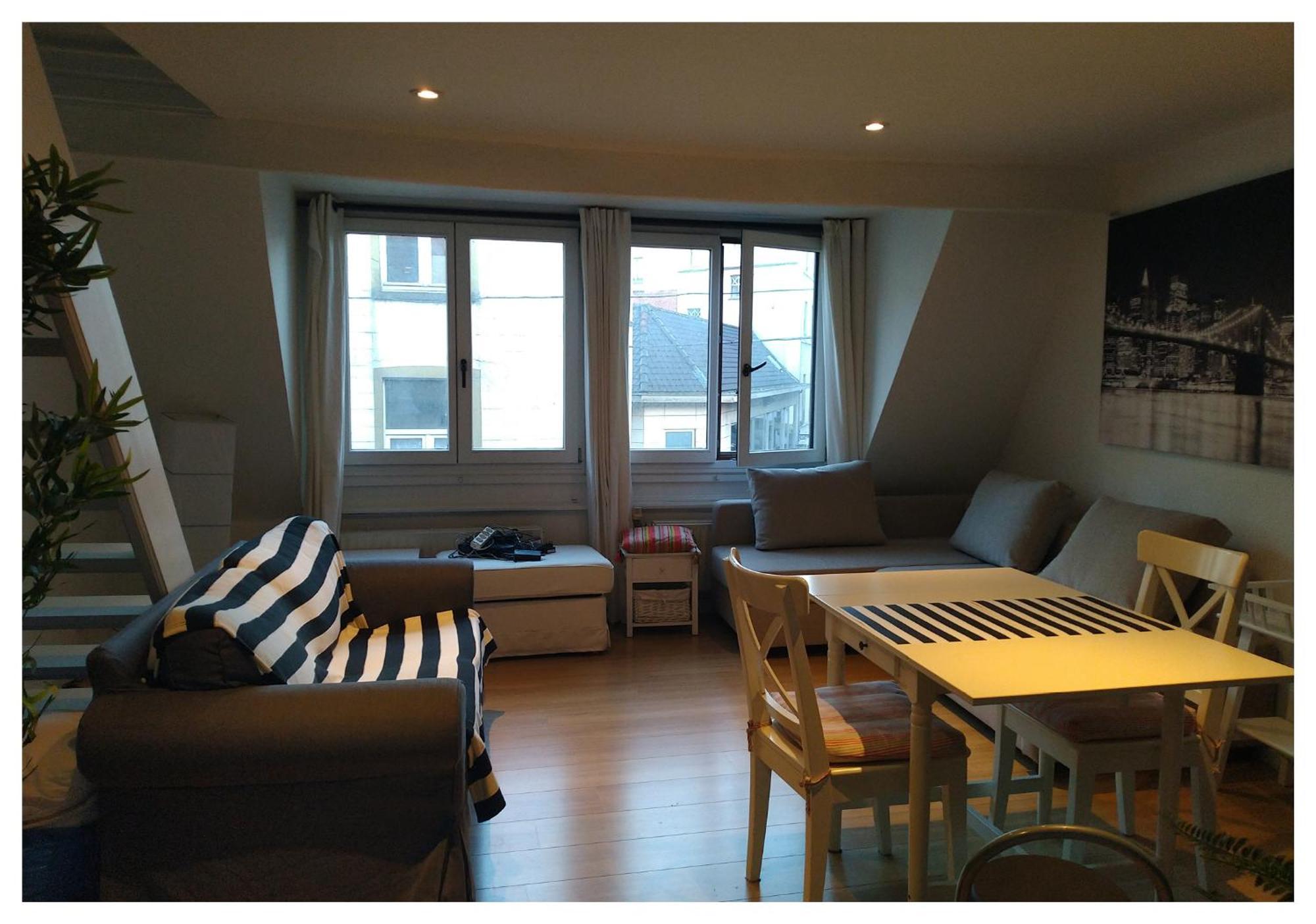 Brussels Zolo Apartment Екстериор снимка